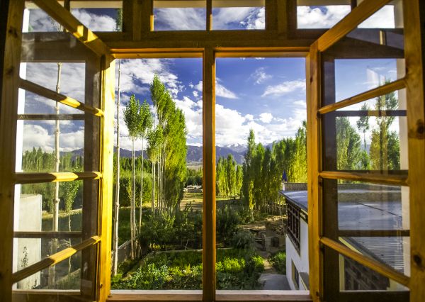 Cost of Wood Window Replacement in Everett
