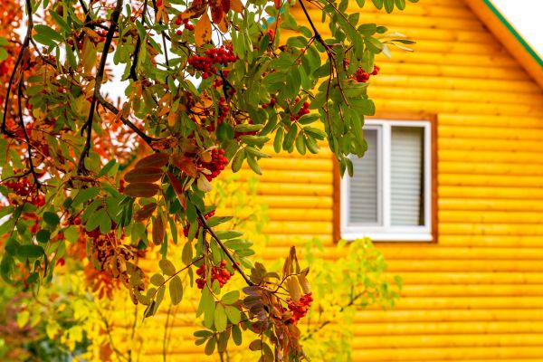 Cost of Garden Window Replacement in Everett